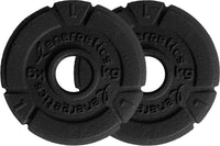 Hantelscheibe Cast Iron Disc Pair 30 mm