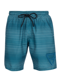 Cester-Stripe Men Swim Shorts