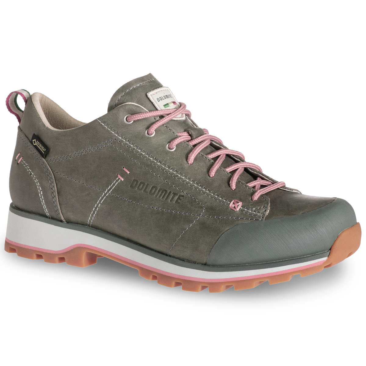 DOL Shoe W's 54 Low Fg GTX