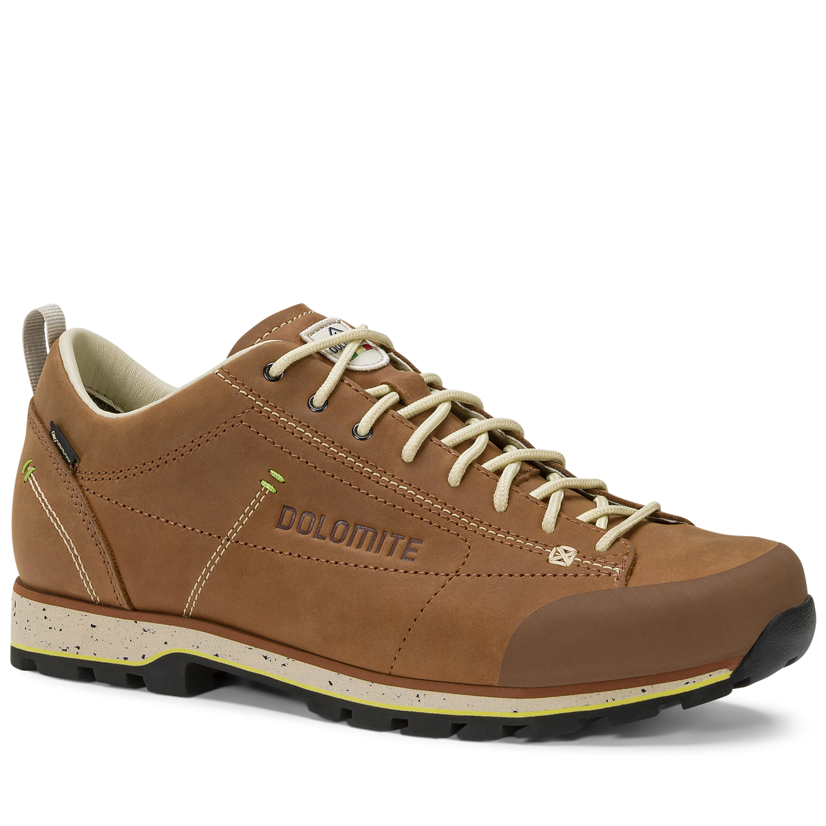 DOL Shoe 54 Low Fg Evo GTX