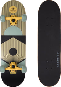 Skateboard SKB 305