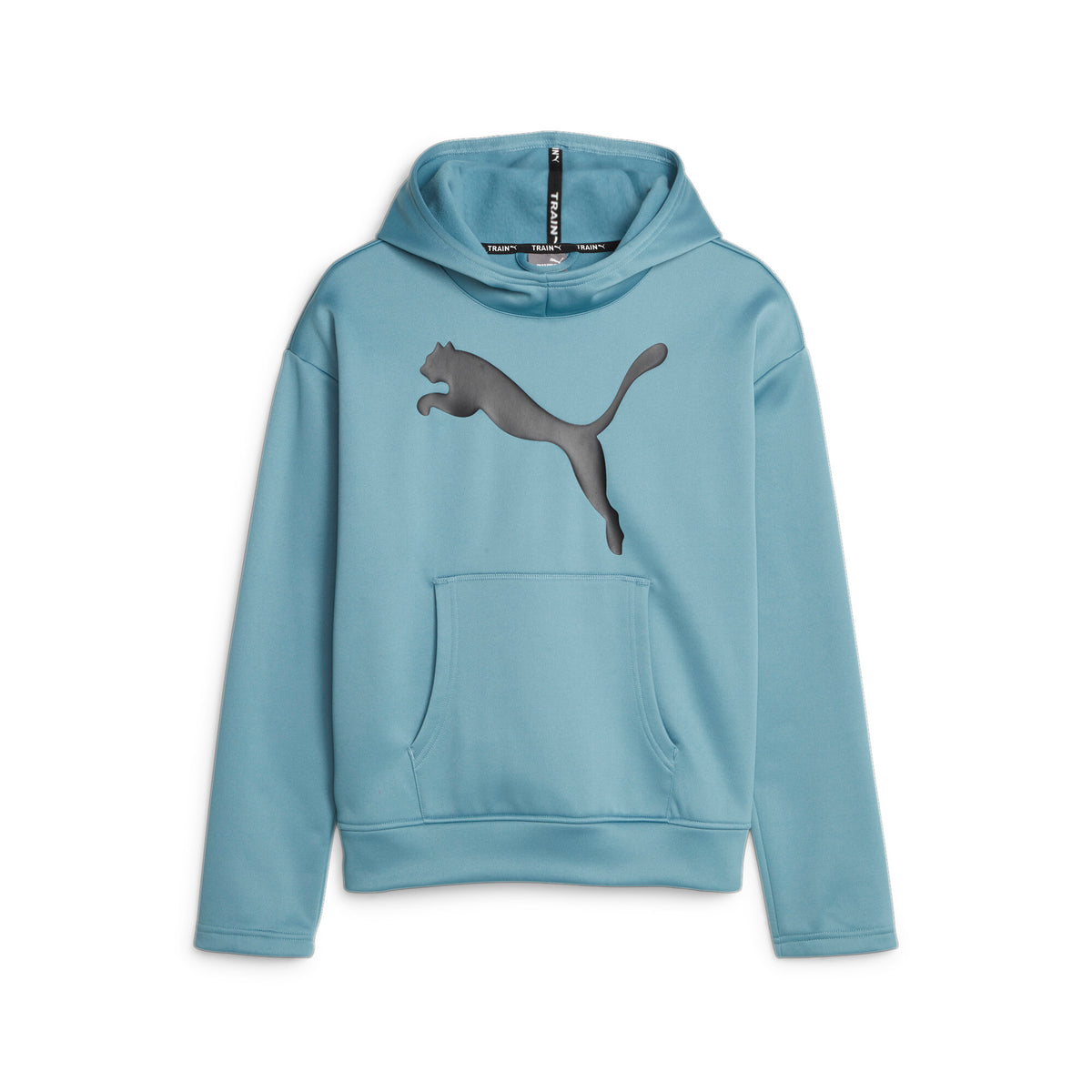 Train Favorite PWR Fleece