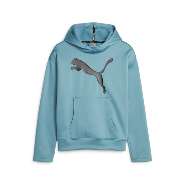 Train Favorite PWR Fleece