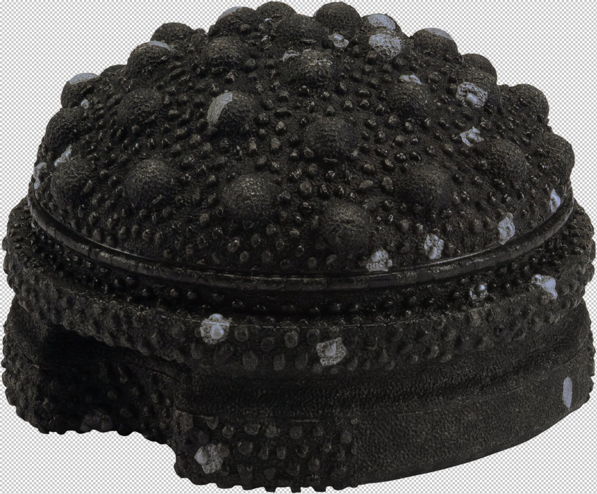 BLACKROLL(R) TWISTER black/gre